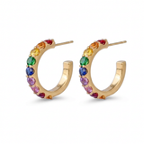 Rainbow Hoops