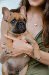 cute dog jewelry inspired by a french bulldog