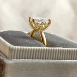 Bee Engagement Ring Oval™